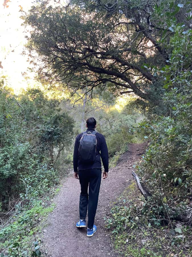 From Chefchaouen: Full-Day Trip to Akchour Waterfalls - Guides who shape the day