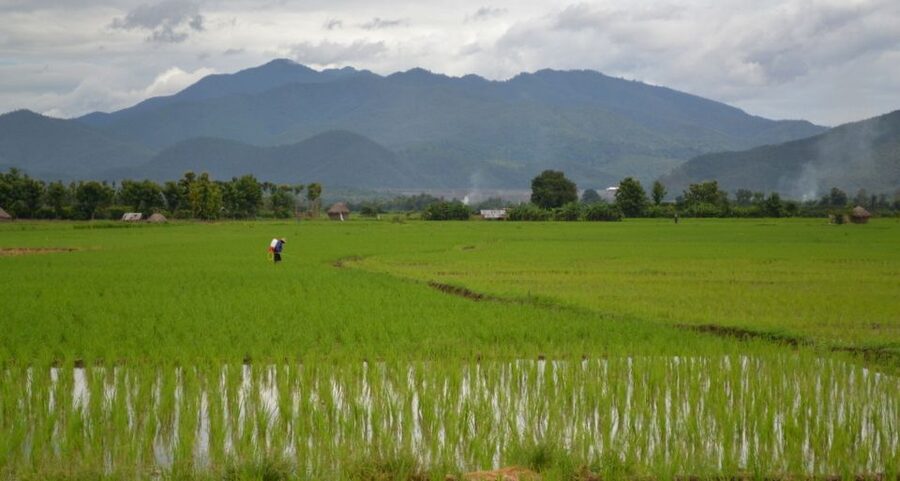 From Chiang Mai: Mae Taeng Valley and Waterfalls Cycle Tour - What the guides add