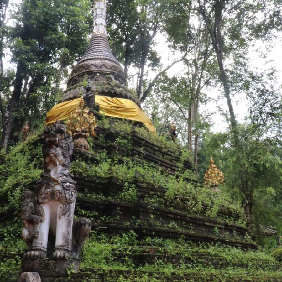 From Chiang Mai: Temples, Sticky Waterfall, and Orchid Farm - What to pack for the day
