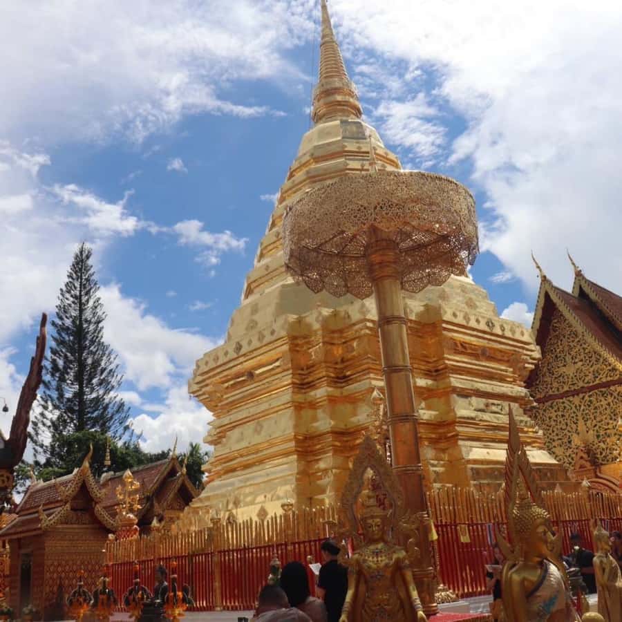 From Chiang Mai: Temples, Sticky Waterfall, and Orchid Farm - Doi Suthep and the Golden Pagoda
