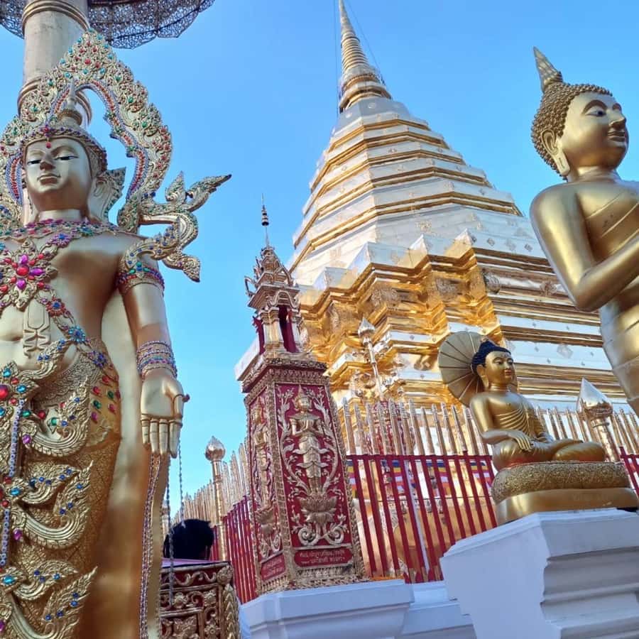 From Chiang Mai: Temples, Sticky Waterfall, and Orchid Farm - Orchids, butterflies, and a proper lunch break
