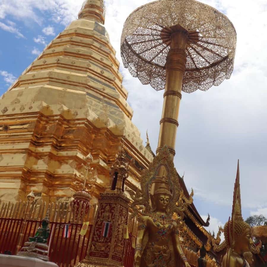 From Chiang Mai: Temples, Sticky Waterfall, and Orchid Farm - Bua Tong Sticky Waterfall: the day’s big surprise