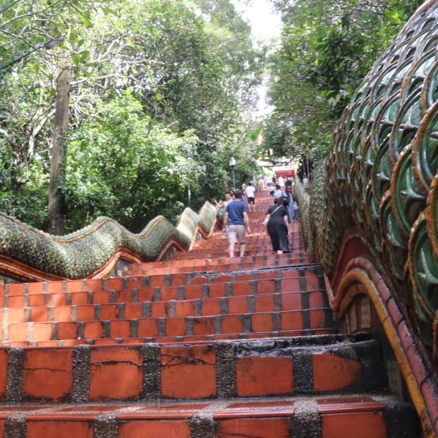 From Chiang Mai: Temples, Sticky Waterfall, and Orchid Farm - Guides, drivers, and the value of the transport