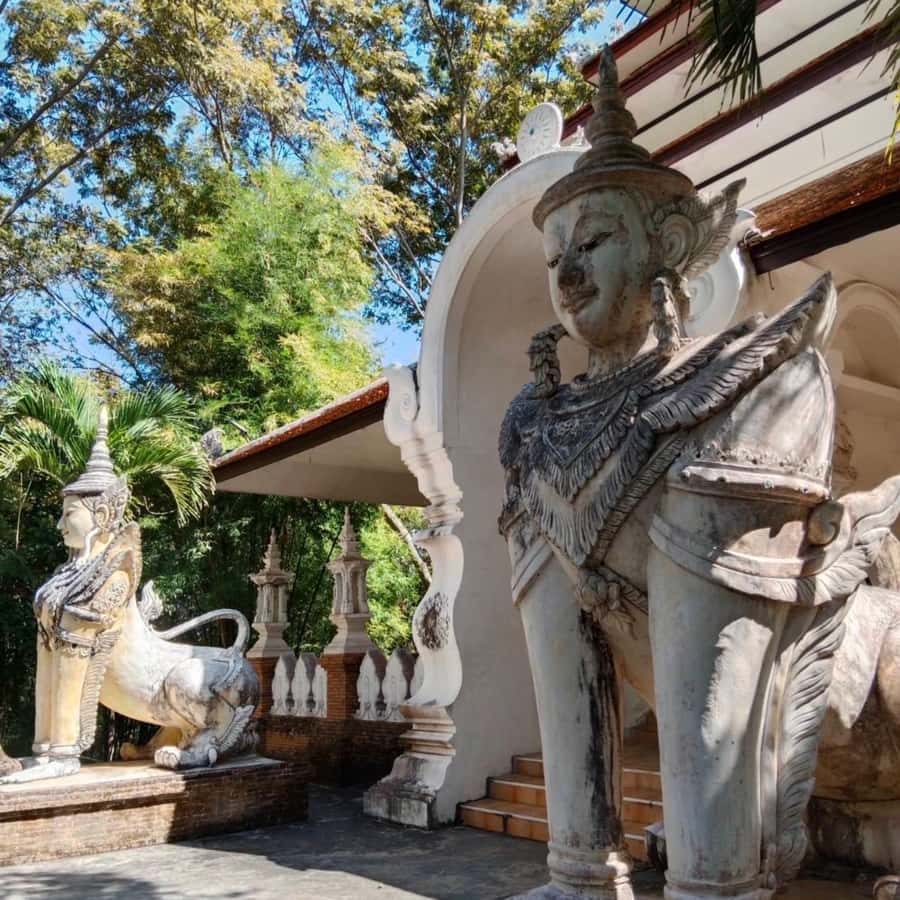 From Chiang Mai: Temples, Sticky Waterfall, and Orchid Farm - What the $80 price really includes