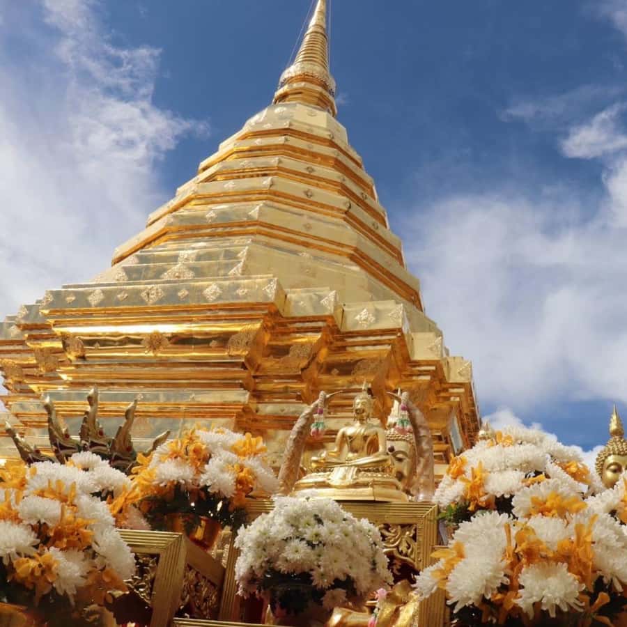 From Chiang Mai: Temples, Sticky Waterfall, and Orchid Farm - Wat Pha Lat: a quiet start in the trees