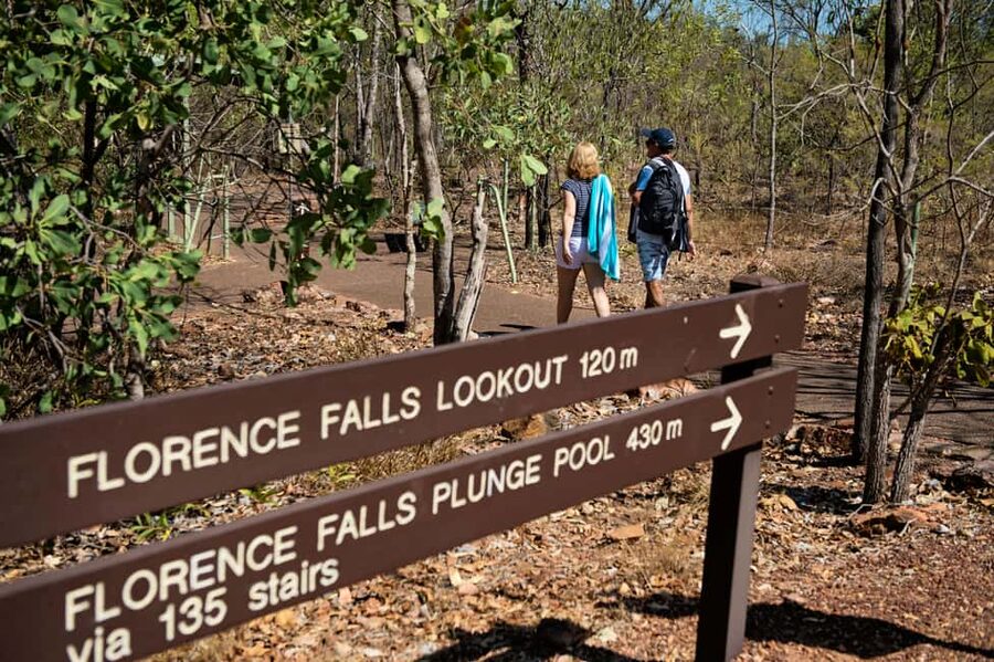 From Darwin: 1-Day Litchfield & Waterfalls Tour - Wangi Falls, rainforest shade, and the final swim