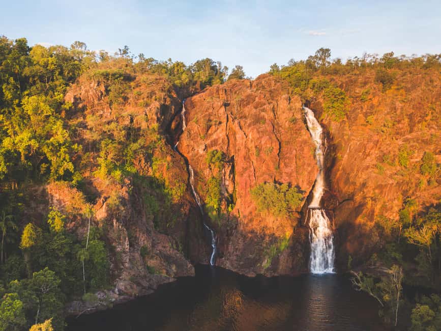 From Darwin: 1-Day Litchfield & Waterfalls Tour - Transport, guiding, and the value of local explanation