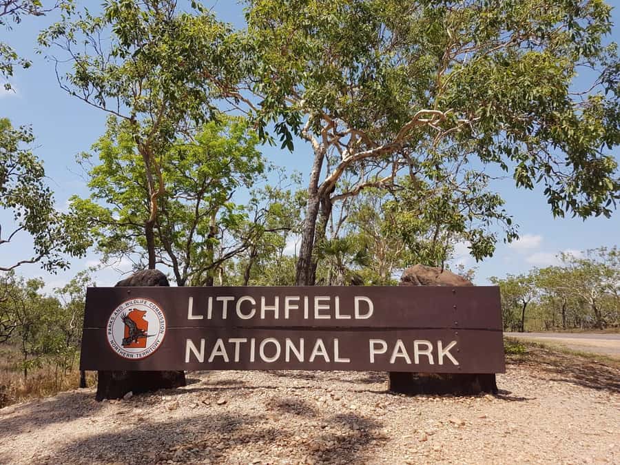From Darwin: Litchfield National Park & Waterfalls Day Trip - Why Litchfield works so well as a Darwin day trip