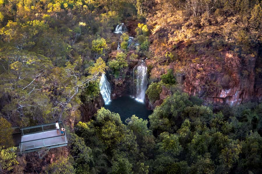 From Darwin: Litchfield National Park & Waterfalls Day Trip - Adelaide River: crocodiles or wetland wildlife
