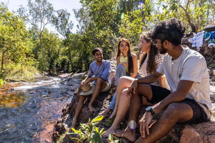 From Darwin: Litchfield National Park & Waterfalls Day Trip - Magnetic Termite Mounds and the odd beauty of engineering
