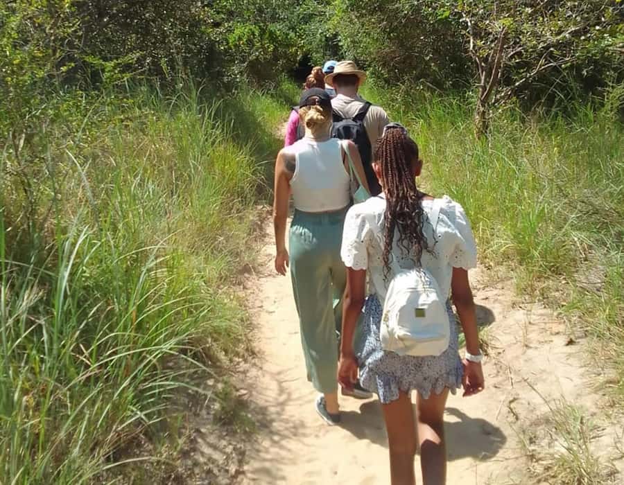 From Diani: Full Day Shimba hills tour with Sheldrick Falls - Key points to know before booking