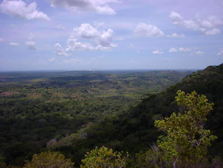 From Diani: Full Day Shimba hills tour with Sheldrick Falls - Should you book the Shimba Hills and Sheldrick Falls tour?