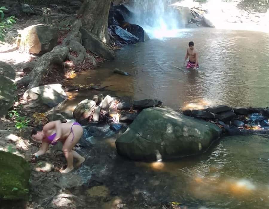 From Diani: Full Day Shimba hills tour with Sheldrick Falls - The 7:00 AM pickup and road to the reserve
