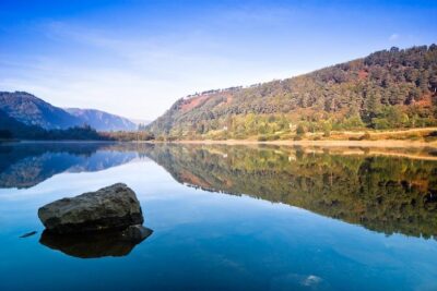 From Dublin: Wicklow, Glendalough, Waterfall & Sheepdog demo