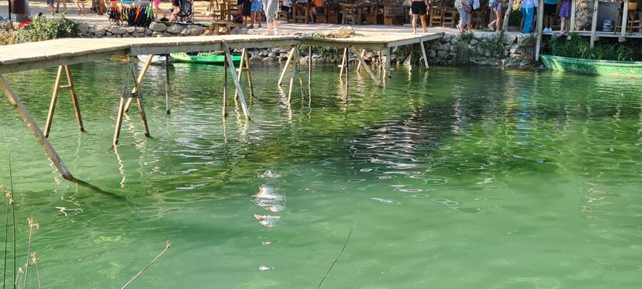 From Dubrovnik: Mostar and Kravica Waterfall Day Trip - Should you book this Mostar and Kravica day trip?
