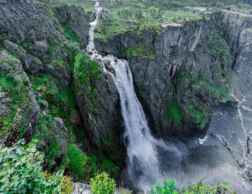 From Eidfjord: Vøringfossen Waterfall Nature Tour with Guide - Is $105 a fair price?