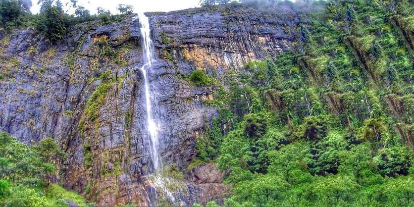 From Ella: Diyaluma Falls Full-Day Tour with Lunch - Key points to know before you book