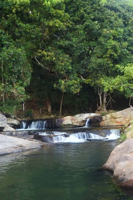 From Ella: Diyaluma Waterfall and Natural Pool Bath Tour - Walking through the Koslanda forest