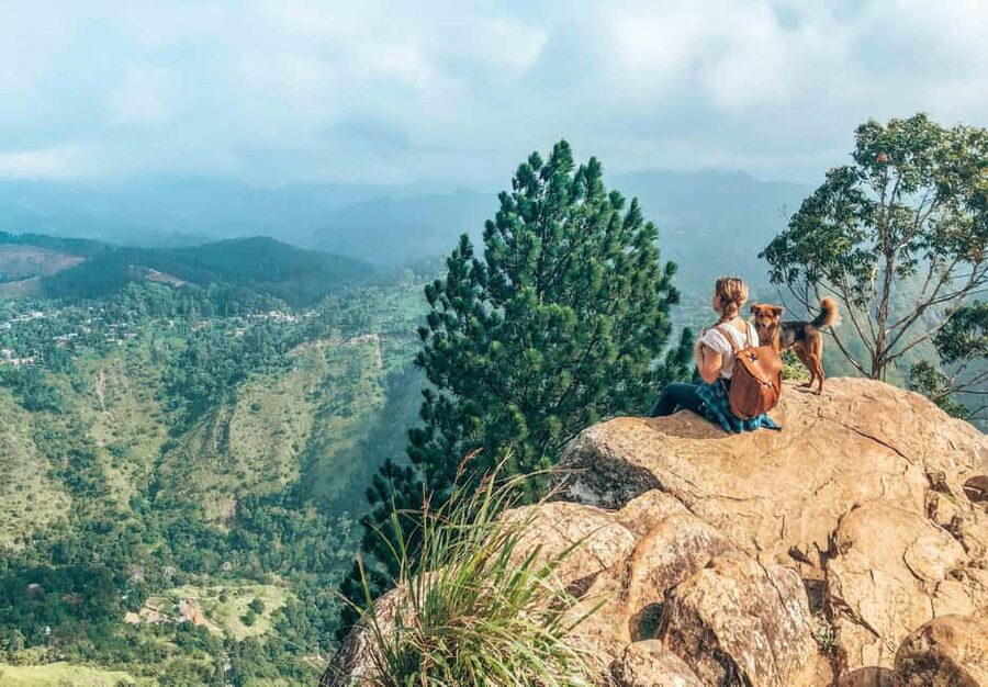 From Ella : Waterfalls, Nine Arch Bridge, Little Adam's Peak - What this Ella day tour is really like