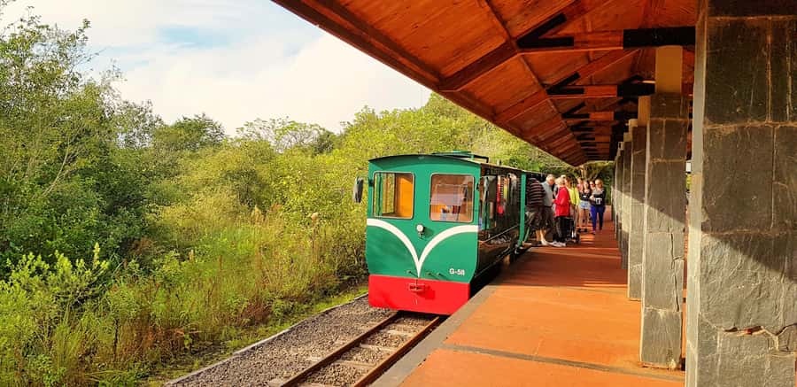 From Foz do Iguaçu: Argentinian Iguazu Falls with Boat Ride - Walking through Iguazu National Park