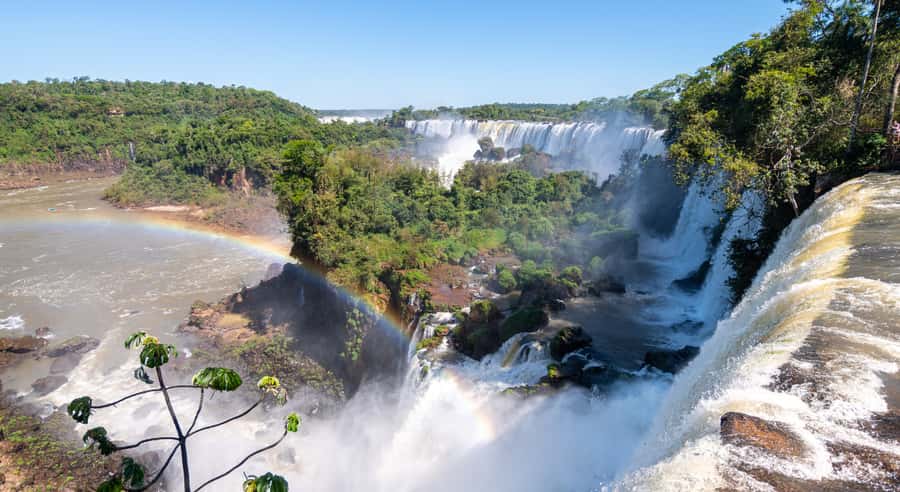 From Foz do Iguaçu: Argentinian Iguazu Falls with Ticket - Lower Circuit: closer water and forest