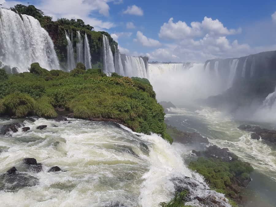 From Foz do Iguaçu: Brazilian Falls and Bird Park Tour - Why this pairing works so well