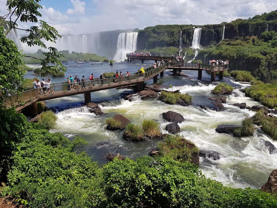 From Foz do Iguaçu: Brazilian Falls and Bird Park Tour - What the guide adds to the day