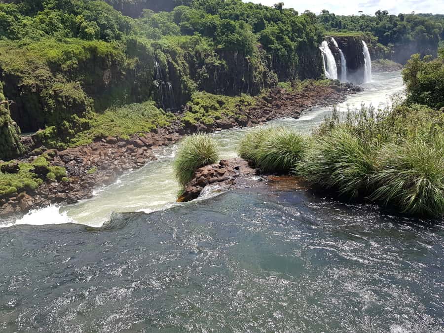 From Foz do Iguaçu: Brazilian Falls and Bird Park Tour - Who should choose this tour