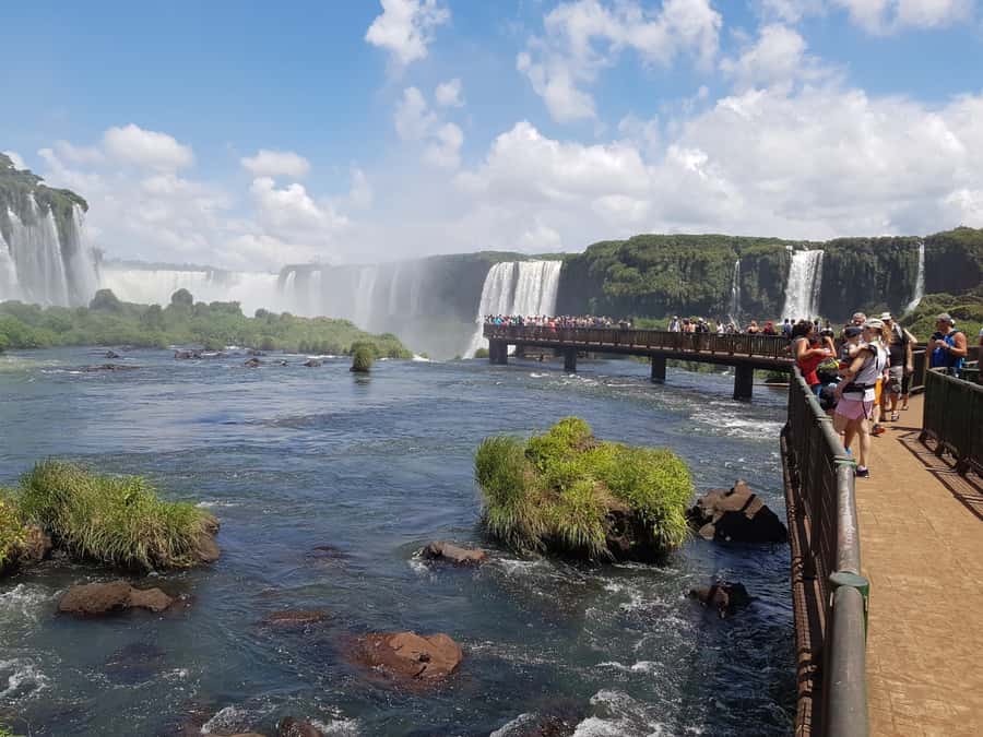 From Foz do Iguaçu: Brazilian Falls and Bird Park Tour - Starting at Brazil’s Bird Park