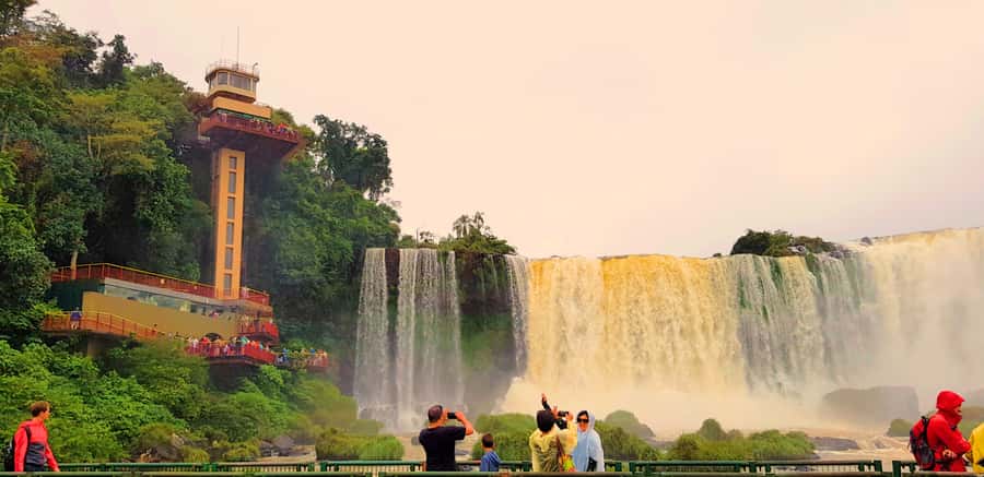 From Foz do Iguaçu: Brazilian Side of the Falls with Ticket - What the $67 Price Really Covers