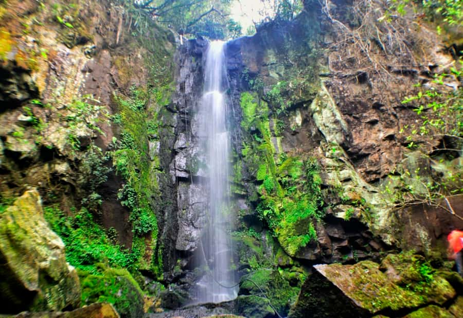 From Foz do Iguaçu: Secret Falls Adventure - Key points at a glance