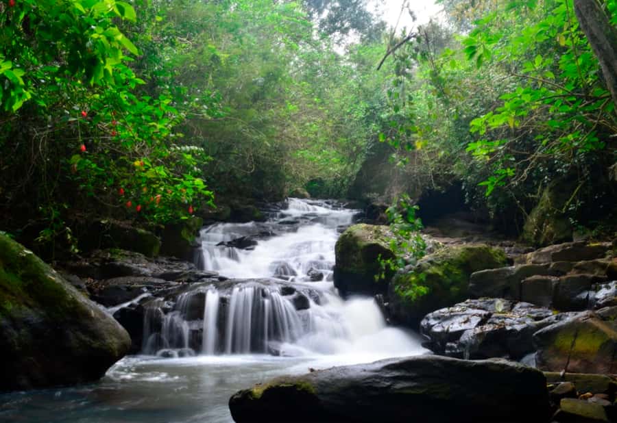 From Foz do Iguaçu: Secret Falls Adventure - Starting from Rua Manêncio Martins