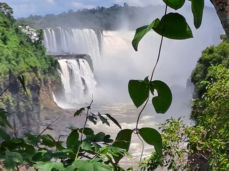 From Foz do Iguaçu: Tour to Argentinian Falls - What the guide adds beyond directions