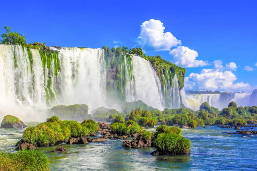From Foz do Iguazu: Brazil Iguazu Falls & Macuco Safari Boat - The forest ride and the 500-meter walk