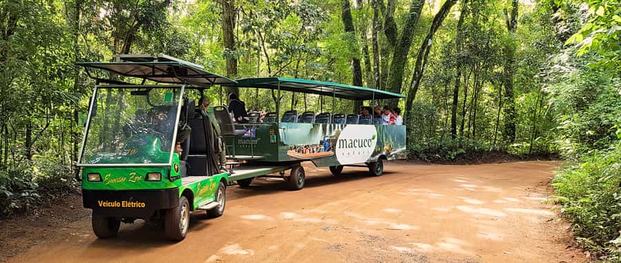 From Foz do Iguazu: Brazil Iguazu Falls & Macuco Safari Boat - Devil’s Throat and the main viewpoints