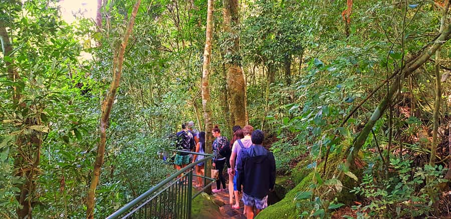 From Foz do Iguazu: Brazil Iguazu Falls & Macuco Safari Boat - Is $134 a fair price?
