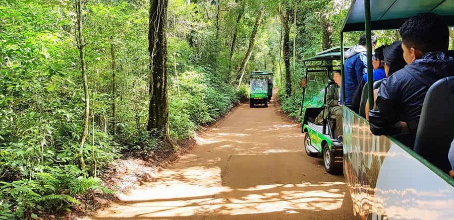 From Foz do Iguazu: Brazil Iguazu Falls & Macuco Safari Boat - Who will enjoy this most