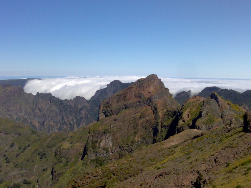 From Funchal: West Madeira Waterfalls and Fanal Forest Tour - Véu da Noiva turns the north coast into a moving viewpoint