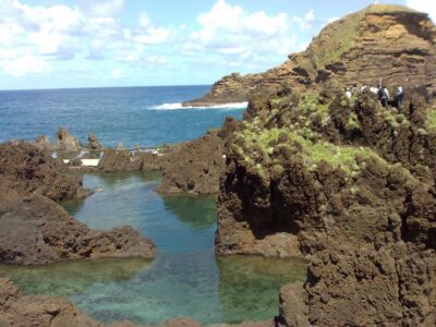 From Funchal: West Madeira Waterfalls and Fanal Forest Tour