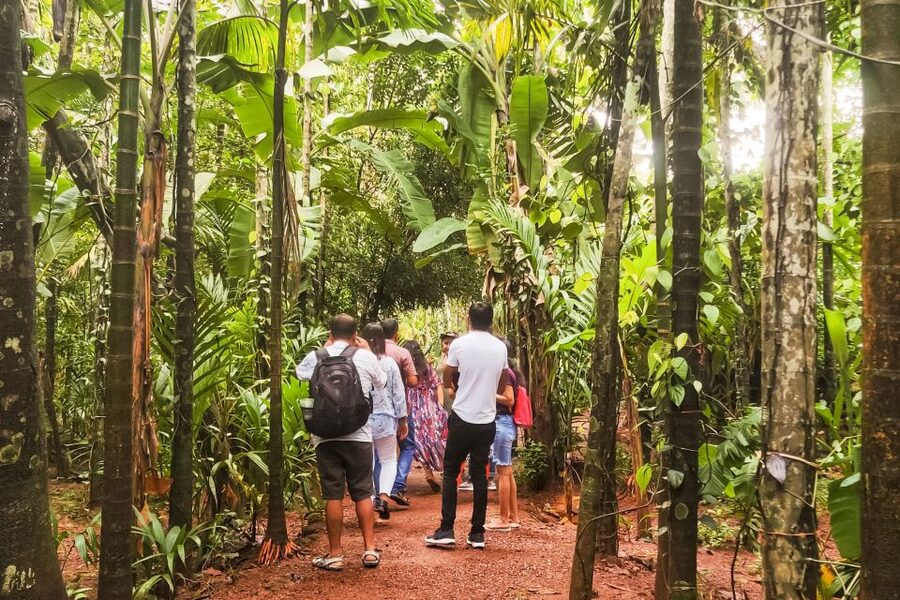 From Goa: Dudhsagar Waterfalls & Plantation Tour - FAQ