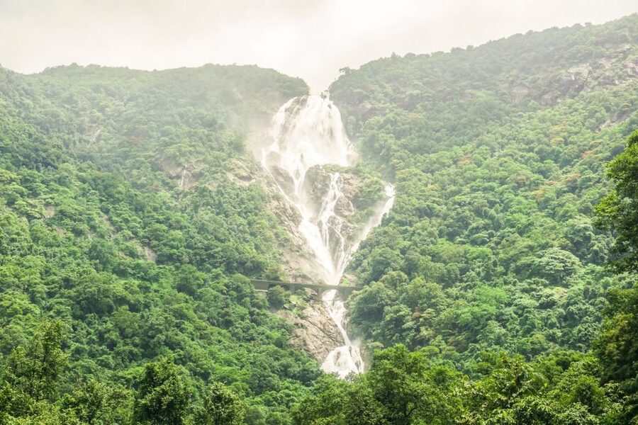 From Goa: Dudhsagar Waterfalls & Plantation Tour - The long road from Goa to Mollem National Park