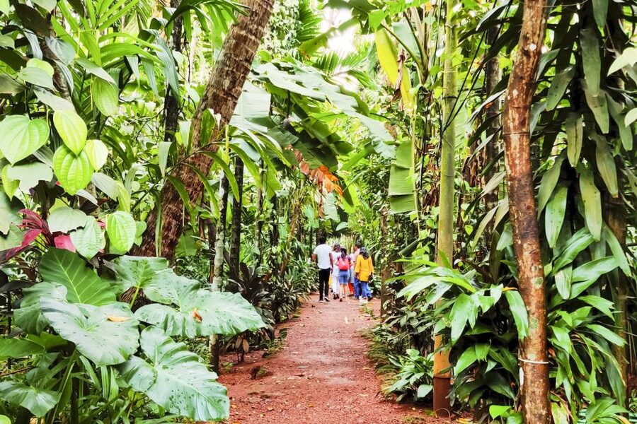 From Goa: Dudhsagar Waterfalls & Plantation Tour - What the $109 price includes
