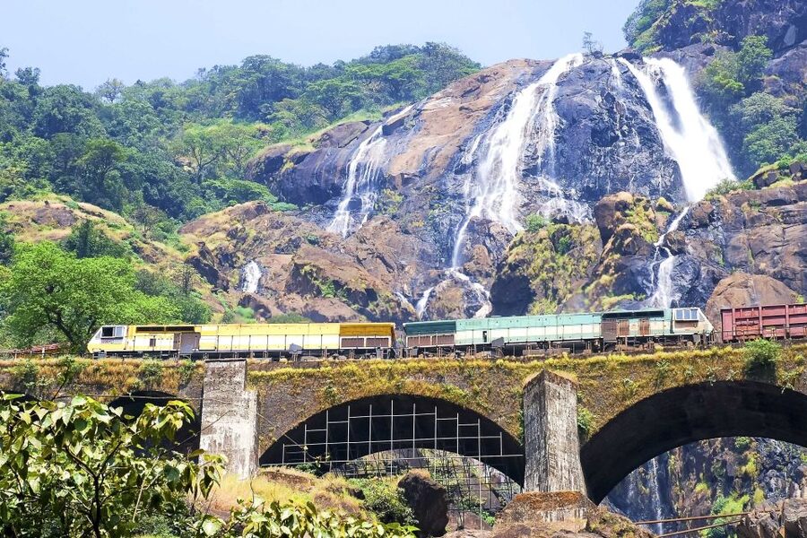 From Goa: Dudhsagar Waterfalls & Plantation Tour - Who will enjoy this day most