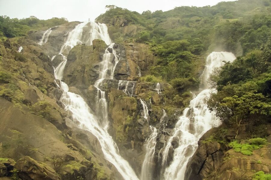 From Goa: Dudhsagar Waterfalls & Plantation Tour - Should you book the Dudhsagar and plantation tour?