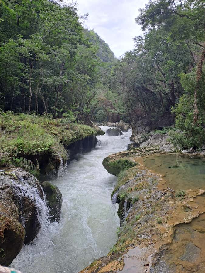 From Guatemala City to Semuc Champey in one day. - Cobán, cardamom, and a taste of Alta Verapaz