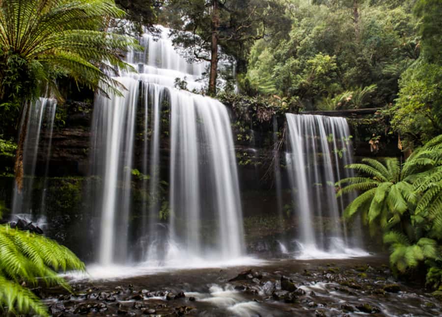 From Hobart: Mt. Field National Park and Russell Falls - Entering Mt. Field National Park
