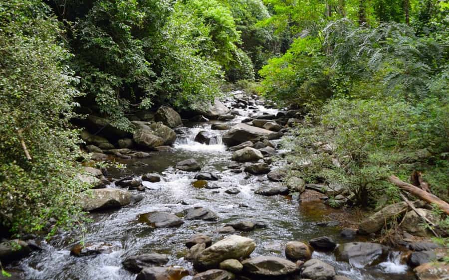 From Hua Hin: Pala U Waterfall and Huay Mongkol Temple Tour - The 45-minute walk to Pala U Waterfall