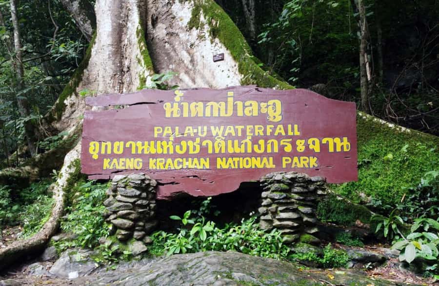 From Hua Hin: Pala U Waterfall and Huay Mongkol Temple Tour - Lunch and the ride back to Hua Hin