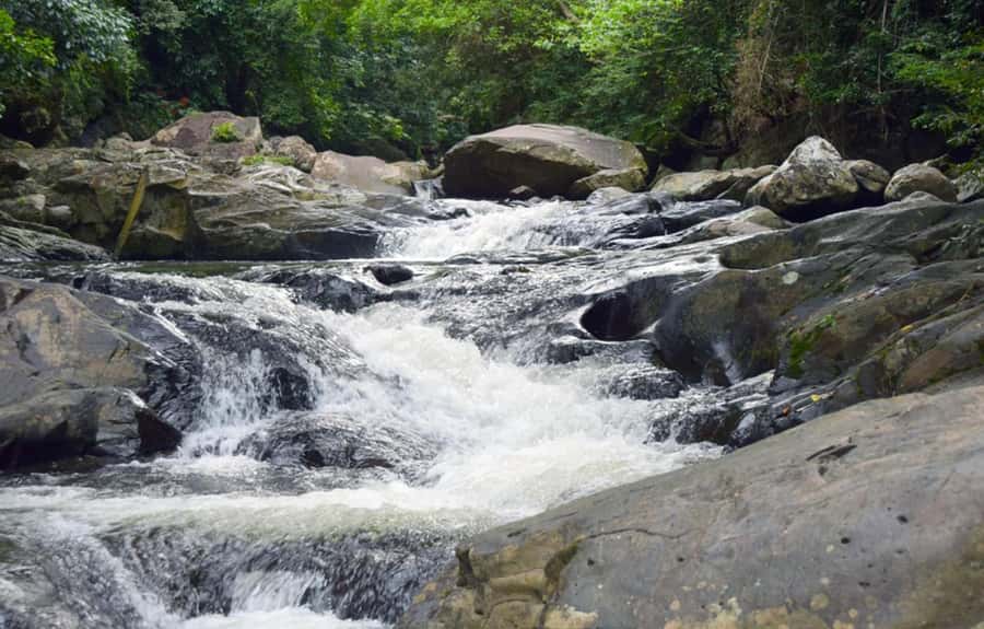 From Hua Hin: Pala U Waterfall and Huay Mongkol Temple Tour - Who should book this waterfall tour