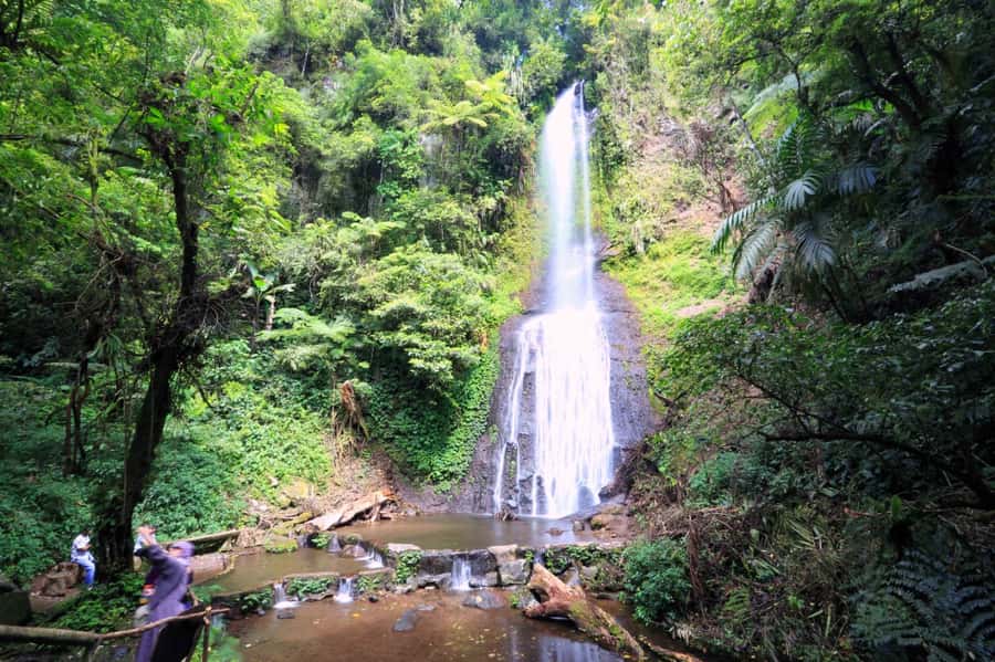 From Jakarta: Safari Park, Tea Plantation & Jaksa Waterfall - Why this Jakarta countryside day works